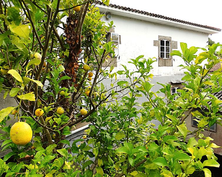 Foto 20d9c8a1-f258-4978-9a58-6e5918cf6ecd. Bauernhof mit kamin heizung parking in Piñeiros - Freixeiro Narón