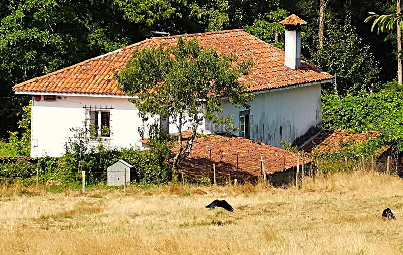 Foto 2570976c-c3e9-481a-be9d-f3e7b59cae96. Bauernhof mit kamin heizung parking in Piñeiros - Freixeiro Narón