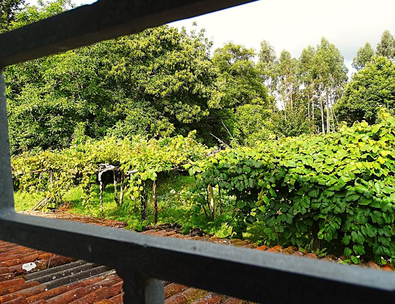 Foto 274879ee-9201-4a95-85df-62d07b11b971. Bauernhof mit kamin heizung parking in Piñeiros - Freixeiro Narón