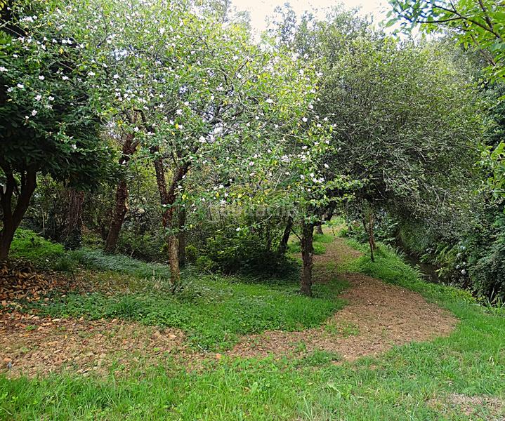 Foto 3e8ea352-7df9-4249-a8f4-ad3c501d211b. Bauernhof mit kamin heizung parking in Piñeiros - Freixeiro Narón