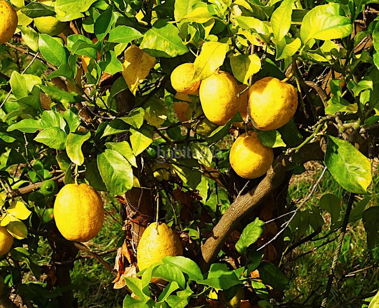 Foto 6f1414a4-cf7a-402f-baac-528134afe437. Bauernhof mit kamin heizung parking in Piñeiros - Freixeiro Narón