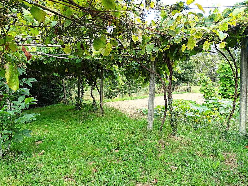 Foto 78038136-c015-4e28-b537-26a4fff88e40. Bauernhof mit kamin heizung parking in Piñeiros - Freixeiro Narón