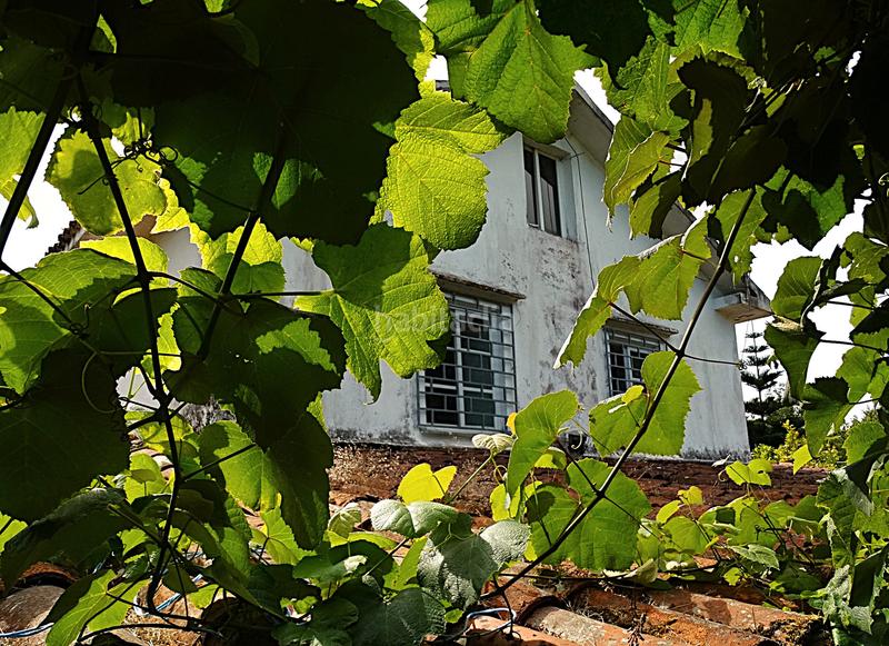 Foto 79e2128d-ed1e-4f25-ba22-9c539682ab65. Bauernhof mit kamin heizung parking in Piñeiros - Freixeiro Narón