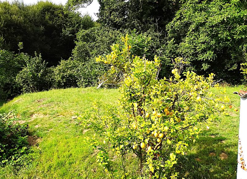 Foto 8e2f127c-6b9f-4b4e-8dec-2c1ca7abe50b. Bauernhof mit kamin heizung parking in Piñeiros - Freixeiro Narón