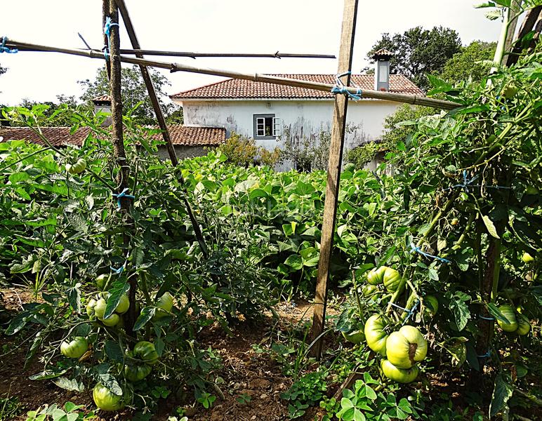 Foto 9ae14e1d-79e6-418a-b8ef-a2180eeb0ca4. Bauernhof mit kamin heizung parking in Piñeiros - Freixeiro Narón