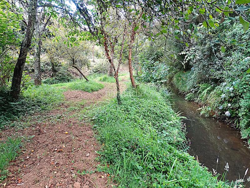 Foto 9b684796-b635-44c7-a2ca-0e1a0b5f4c52. Bauernhof mit kamin heizung parking in Piñeiros - Freixeiro Narón