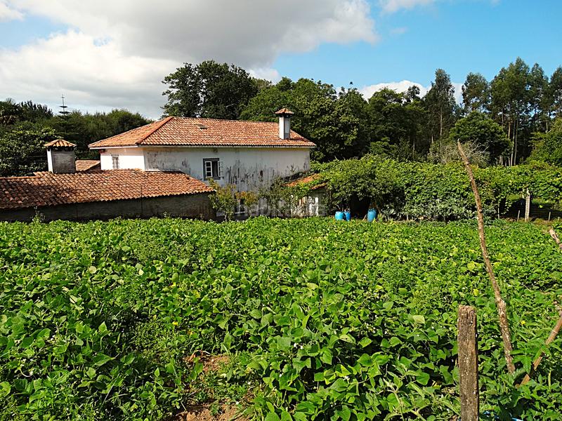 Foto ade0cb90-07c0-4637-989d-22e1adfe2010. Bauernhof mit kamin heizung parking in Piñeiros - Freixeiro Narón