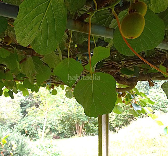 Foto b370683c-fb0b-4401-9c78-c764f1c46aa9. Bauernhof mit kamin heizung parking in Piñeiros - Freixeiro Narón