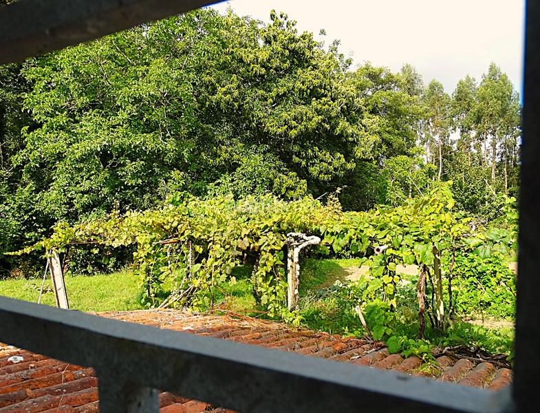 Foto ed505586-783b-44c3-87f1-34c551144761. Bauernhof mit kamin heizung parking in Piñeiros - Freixeiro Narón