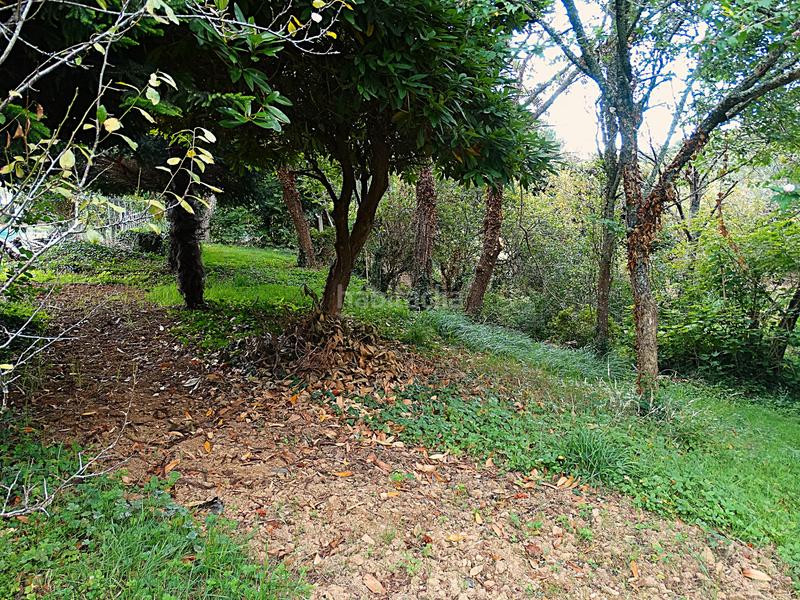 Foto f151a563-0917-48e2-902a-d2ec6eb9a310. Bauernhof mit kamin heizung parking in Piñeiros - Freixeiro Narón