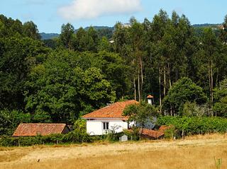 Masia a Piñeiros - Freixeiro. Excelente casa molino en buen estado y con 10.443 m2 de terreno,