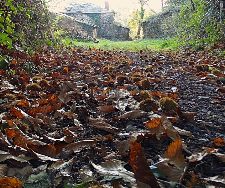 Foto 0c41713b-2f39-42c3-a21d-ced3d33362a7. Masía conjunto de edificaciones tradicionales para rehabilitar en el interior de lugo en Vilalba