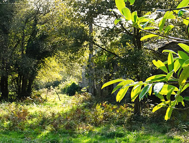 Foto 47a6d183-503d-40eb-a492-f96838b29a06. Masía conjunto de edificaciones tradicionales para rehabilitar en el interior de lugo en Vilalba