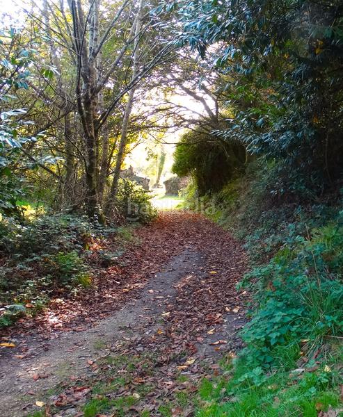 Foto 56a294d5-7134-4f4b-b1c1-0156abe5b464. Masía conjunto de edificaciones tradicionales para rehabilitar en el interior de lugo en Vilalba