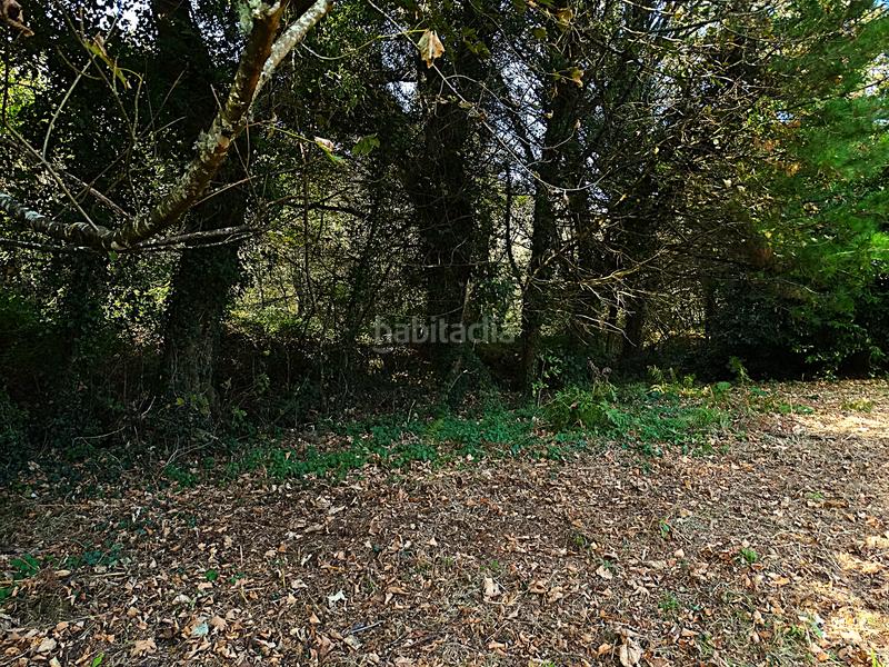 Foto 61b4a78a-6c48-4547-b223-63546f3d55df. Masía conjunto de edificaciones tradicionales para rehabilitar en el interior de lugo en Vilalba