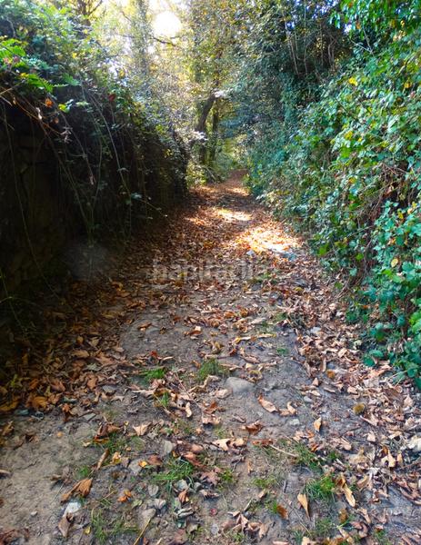 Foto 7cc0dc93-6f12-401b-a1df-2cb3dad595e7. Masía conjunto de edificaciones tradicionales para rehabilitar en el interior de lugo en Vilalba