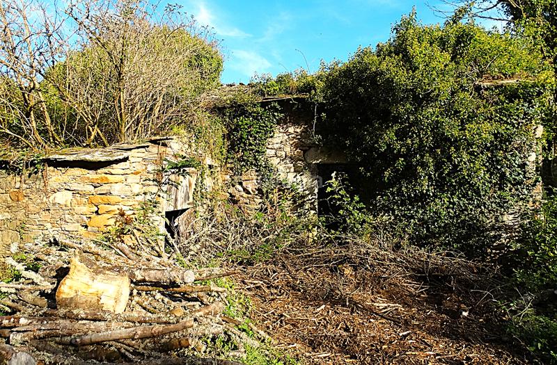 Foto 811a0aa1-4c50-408e-beb8-3ecf073f2343. Masía conjunto de edificaciones tradicionales para rehabilitar en el interior de lugo en Vilalba