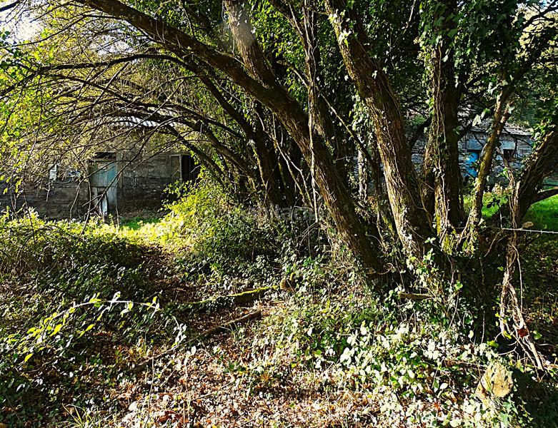 Foto a33c57bc-26ef-4bc4-a06e-863b370f4ff4. Masía conjunto de edificaciones tradicionales para rehabilitar en el interior de lugo en Vilalba