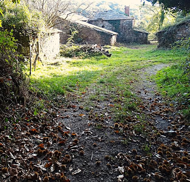 Foto ae2617f2-0634-4fc7-a66f-7de340bb5dbb. Masía conjunto de edificaciones tradicionales para rehabilitar en el interior de lugo en Vilalba