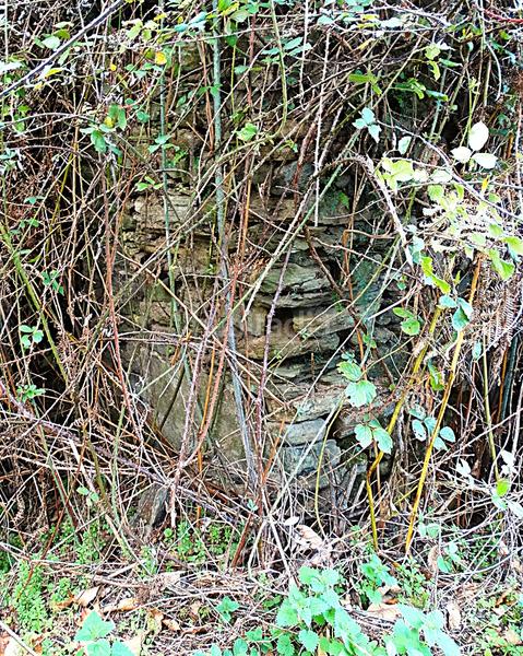 Foto c3a2398b-60b0-4c24-96f1-04c4f41eb695. Masía conjunto de edificaciones tradicionales para rehabilitar en el interior de lugo en Vilalba