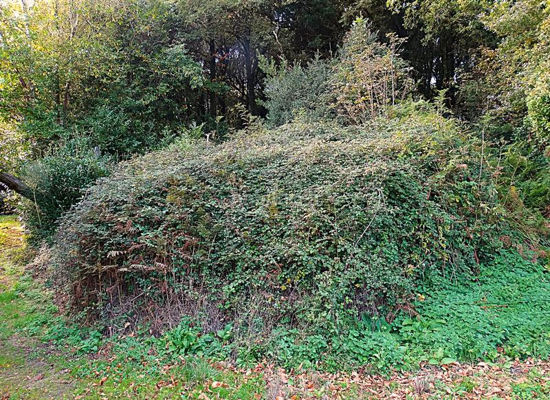 Foto c6bc047e-f1fc-4843-8147-e88244a7364b. Masía conjunto de edificaciones tradicionales para rehabilitar en el interior de lugo en Vilalba
