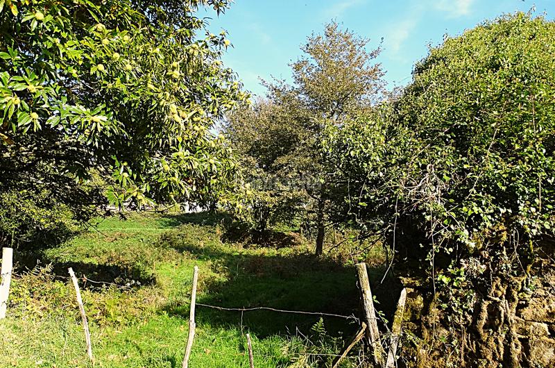 Foto d8081789-6818-43bd-a183-ceaa0f8b2e57. Masía conjunto de edificaciones tradicionales para rehabilitar en el interior de lugo en Vilalba