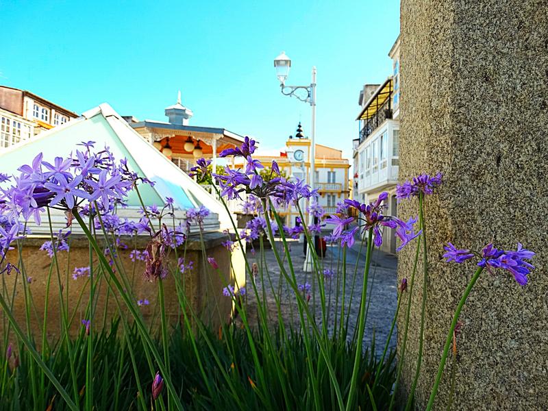 Foto 7e6fb0b3-8fd7-4574-8504-aa91a4edbbef. Dúplex venta conjunta de dos preciosos pisos en el casco antiguo (a coruña) en Cedeira