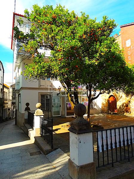 Foto 8f4ca8ec-2fee-47cc-aad6-a3fa01a50c27. Dúplex venta conjunta de dos preciosos pisos en el casco antiguo (a coruña) en Cedeira