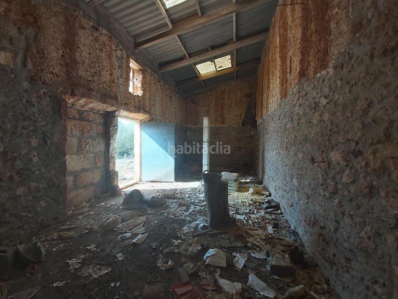 Foto 380541b3-6112-4310-b1d6-1432d4af75c6. Finca rústica finca rustica en venta en Santa Margalida poble Santa Margalida