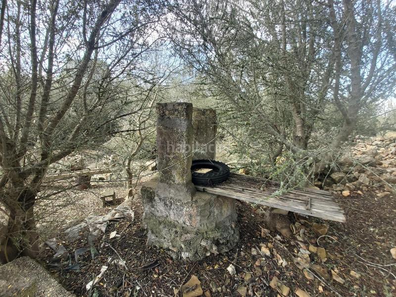 Foto 3e748692-d51b-44da-9a4f-c7a73a9e329f. Finca rústica finca rustica en venta en Santa Margalida poble Santa Margalida