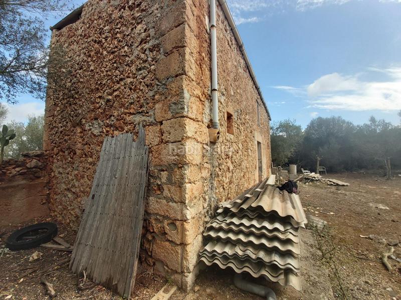 Foto 9371f98f-d0c1-4965-a7b2-2e481e12e1a8. Finca rústica finca rustica en venta en Santa Margalida poble Santa Margalida