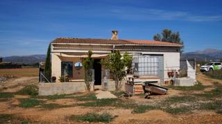 Rural plot in Binissalem. Finca rustica en venta en binissalem