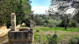 Country house in Binissalem. Finca rustica en binissalem con proyecto y licencia