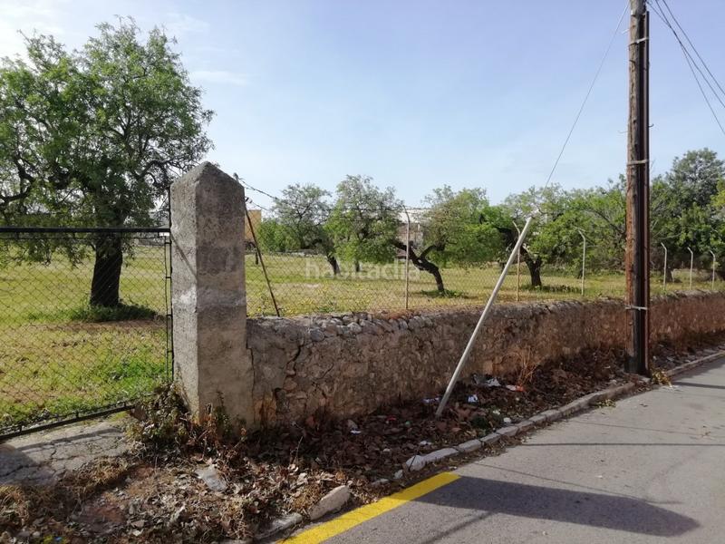 Foto ff47da07-0510-4a6b-84bc-bd34d2486259. Terreno residencial solar urbanizable en el pueblo en Consell