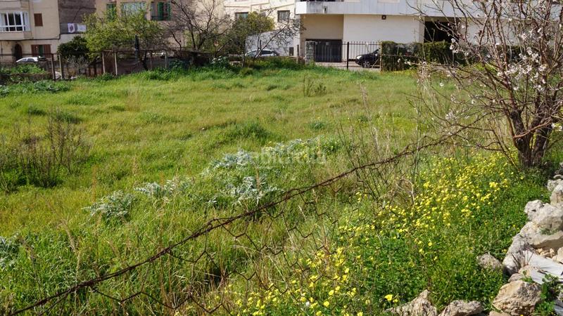 Foto 2fcaa861-8fa8-4c0d-87c6-9465f2e34b92. Terreny residencial a Lloseta