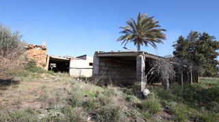 Rural plot in Binissalem. Finca rustica en venta en binissalem