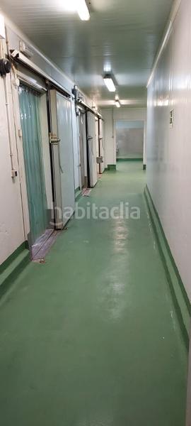 Foto cfac26f4-e082-4999-9ea2-96b905761403. Fabrikhalle in Algemesí