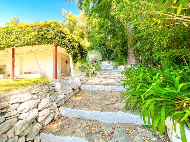 Foto 767a1d9a-1c03-49af-b427-6c14f313ed1a. Casale con camino parcheggio piscina in La Granja - La Colina - Los Pastores Algeciras