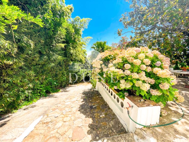 Foto 7c0c1de0-3719-4648-8ff8-da26dd998ce5. Casale con camino parcheggio piscina in La Granja - La Colina - Los Pastores Algeciras