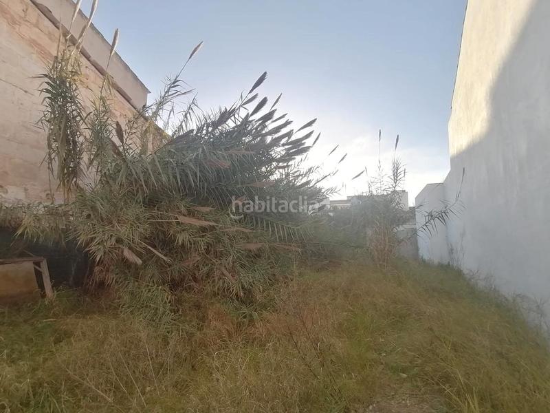 Foto 66bc43d0-2944-4df1-a707-a0a869e7a64f. Terreny residencial a Felanitx poble Felanitx