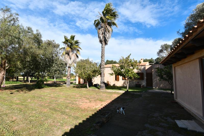 Foto 98160d09-8d7e-4b8c-aeca-5fb713555df9. Country house with fireplace heating parking in Felanitx poble Felanitx