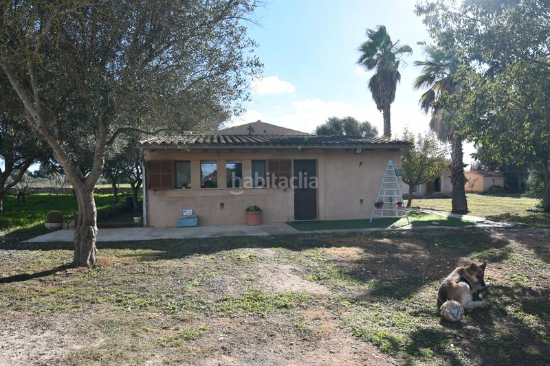 Foto a6c7726c-6df2-4f83-9e13-30363b59ad20. Country house with fireplace heating parking in Felanitx poble Felanitx
