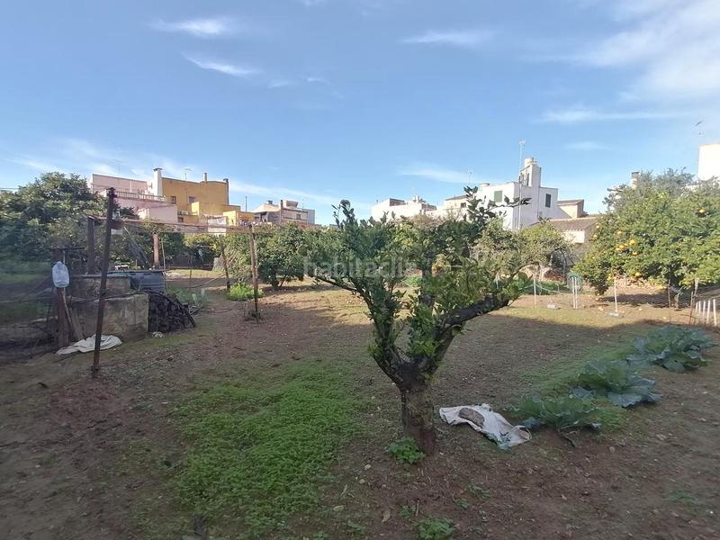 Foto 835b2a80-4739-431e-9c12-9c7c919a6987. Terreno residenziale in Felanitx poble Felanitx