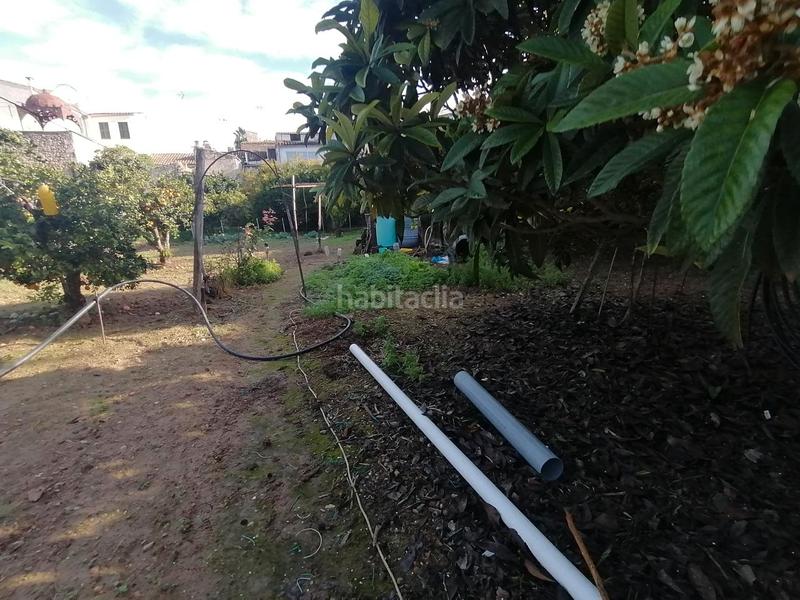 Foto 846e21f7-1ca7-45dc-b95d-5c15759e5a10. Terreno residenziale in Felanitx poble Felanitx