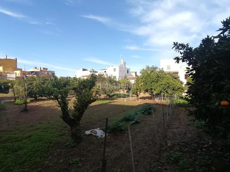 Foto b4f430d8-554d-4927-91df-89a85bd2b4db. Terreno residenziale in Felanitx poble Felanitx
