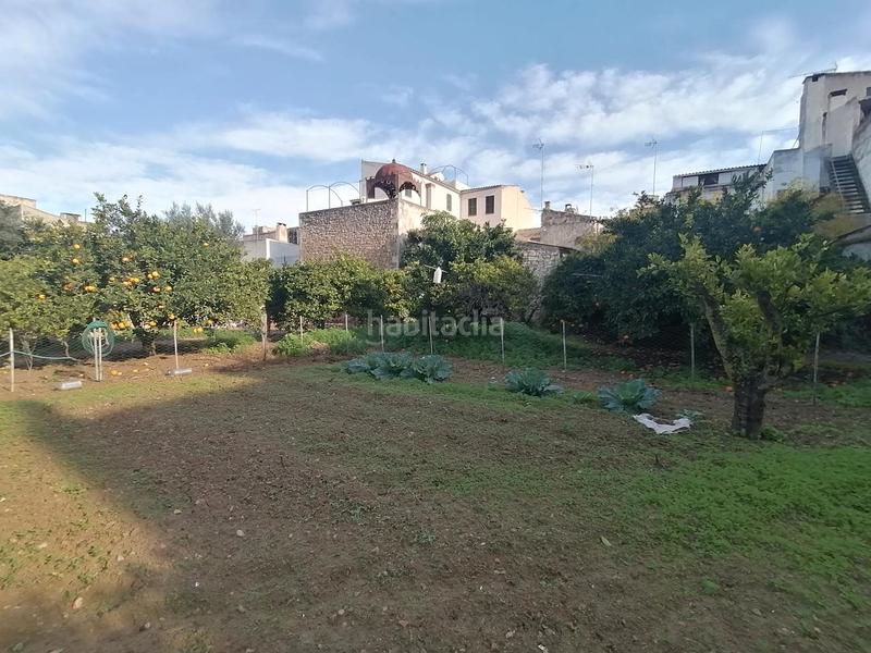 Foto ea66a227-048b-4009-89f1-e2709e04d11b. Terreno residenziale in Felanitx poble Felanitx