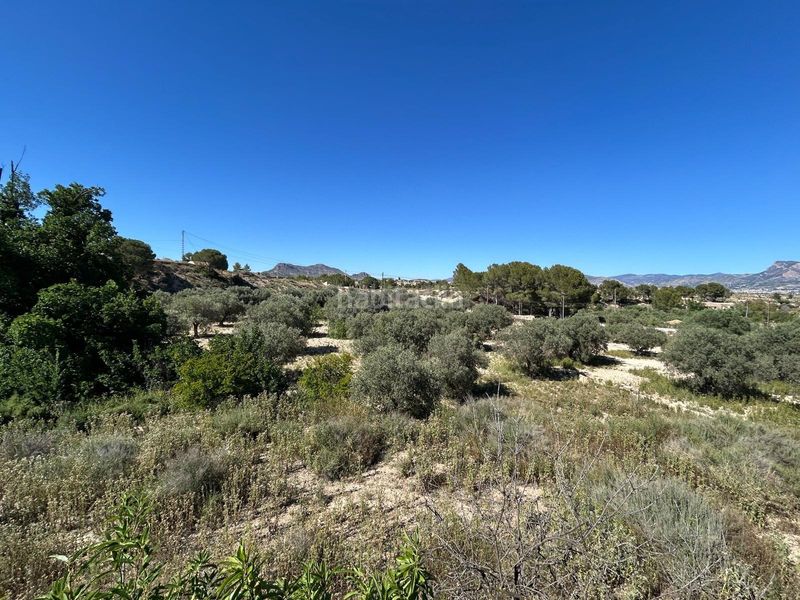 Foto 0753a0f4-c72b-4de1-9840-139736bd795e. Casale in Monòver