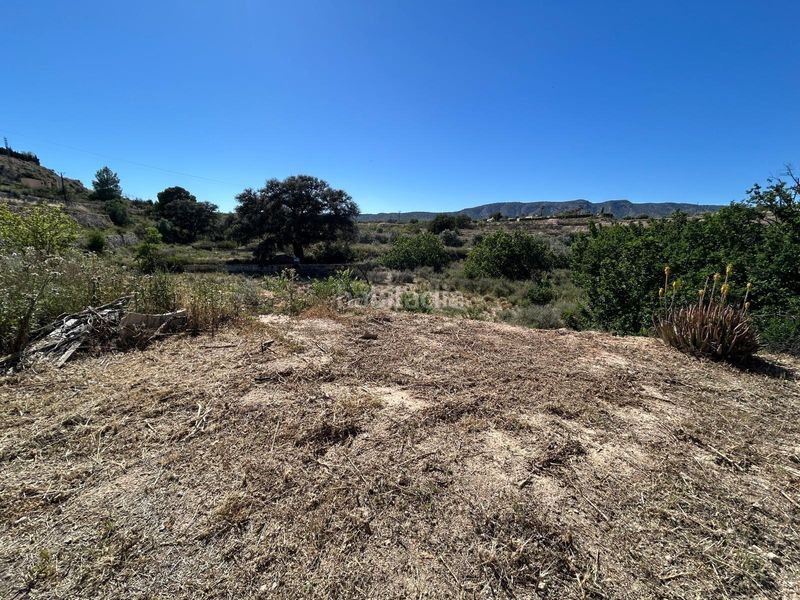 Foto 1f75cd19-b7f9-4420-a833-59c447251ce6. Casale in Monòver