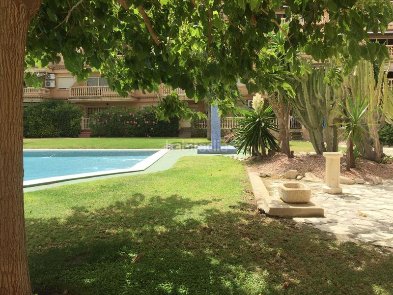 Foto 0c9df96b-4aa0-447f-a452-bd25793ce9f4. Pis a sant bartolomeu 149 a Campello Playa Campello (el)