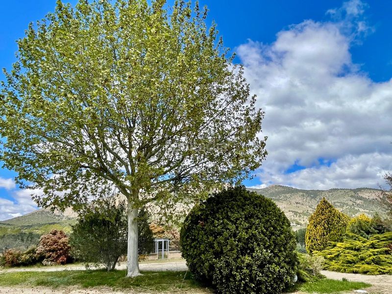Foto f0f4765a-1ad9-4da9-8215-bc9836a43c40. Rent chalet with heating parking in Castalla